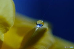 希望という名のもとに・雫