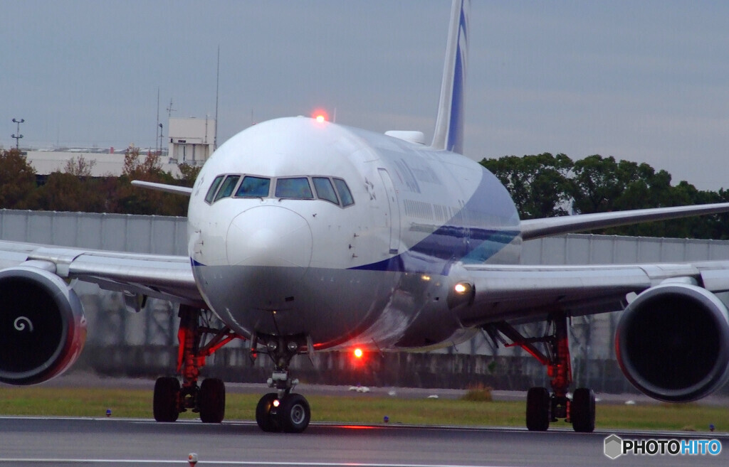 11月の翼✈ANA Boeing767-300