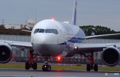 11月の翼✈ANA Boeing767-300