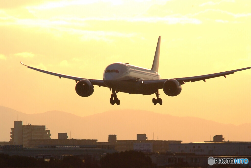 光明✈Dreamliner787