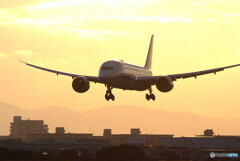 光明✈Dreamliner787