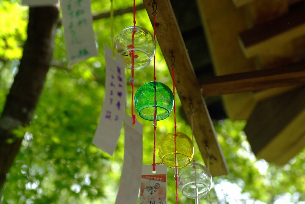 西山の風に吹かれて♩風鈴日記
