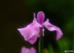 永遠の時・第2章