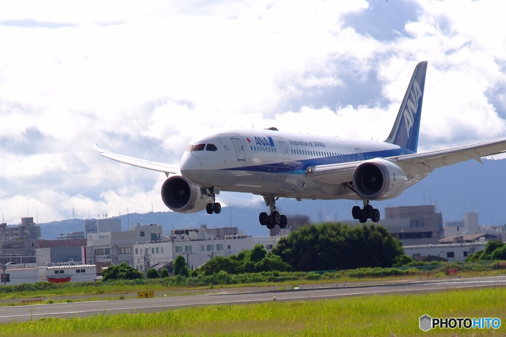 Delusional TripⅤ✈夏色2021