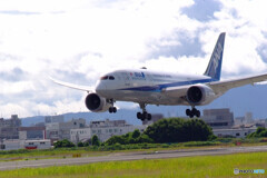 Delusional TripⅤ✈夏色2021