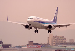 Cherry Color・Boeing 737