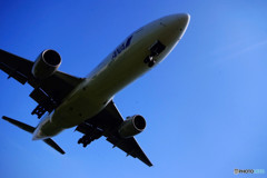 暑いぜ！千里川