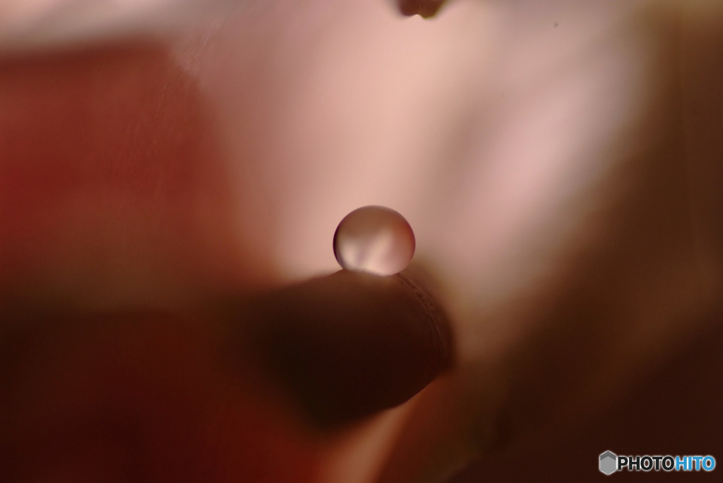 恋する惑星Ⅲ・秋