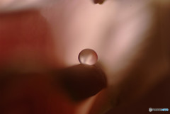 恋する惑星Ⅲ・秋