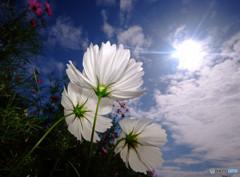 MY STORY・再会の時