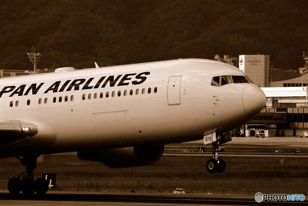 Gift from the North・夏