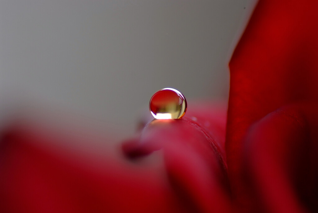 やすらぎの時・雫