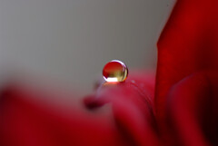 やすらぎの時・雫