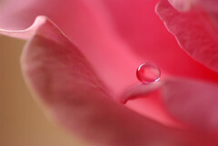 癒やされて✿皐月の瞳