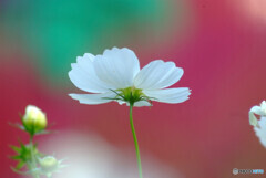 Eternal Love✿2023秋