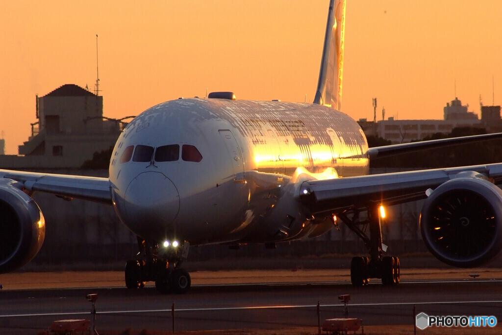 熱き心にSunrise✈JAL Dreamliner