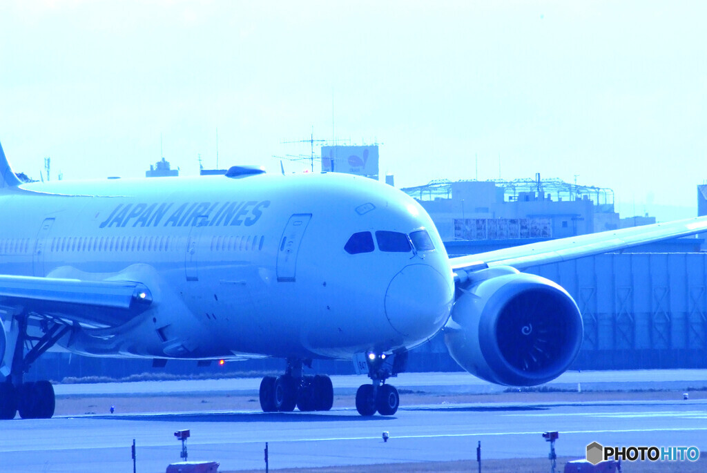 そうだ会いに行こう✈Boeing787-8