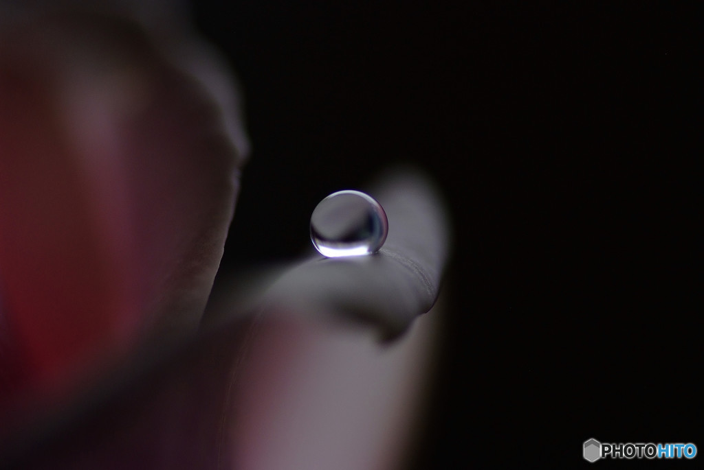 魅せられて・雫