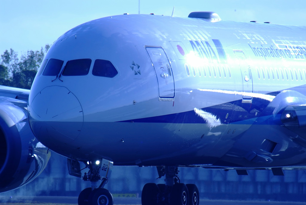 Morning BlueⅣ・787