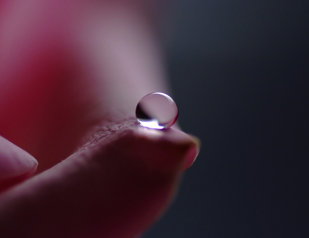 ７月の雨音・雫