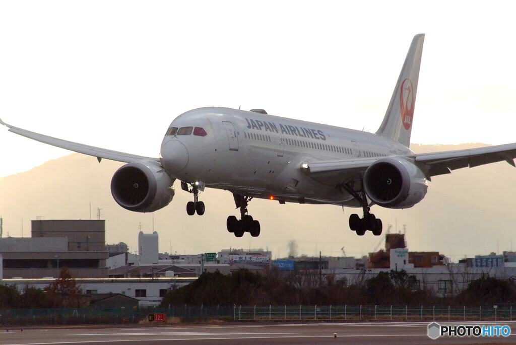 SKYLANDの朝Ⅲ✈Boeing 787-8