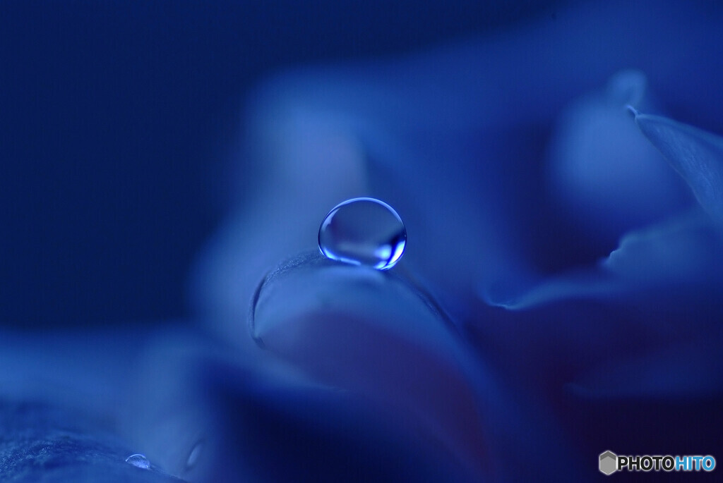 蒼の世界へ✿雫
