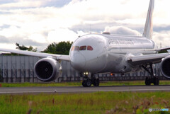 2021夏の想い出✈Boeing 787-8 Dreamliner