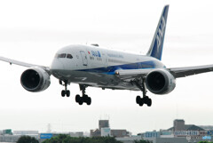 Happy Saturday・HARADA