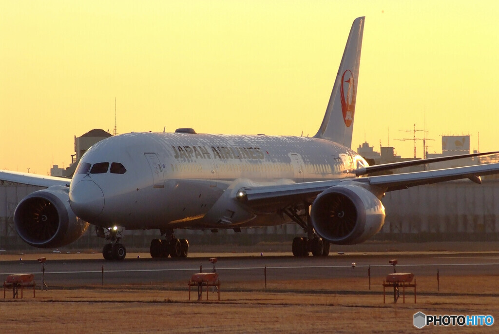 ２月の旅人Ⅹ✈787-８Dreamliner