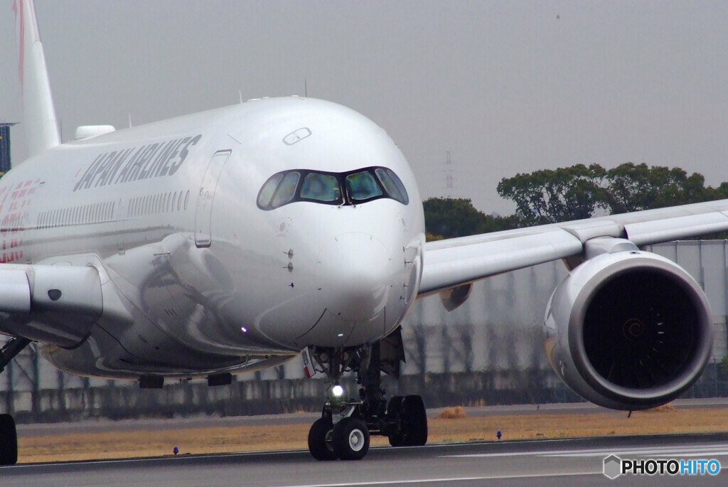 都会のOasis✈JA01XJ