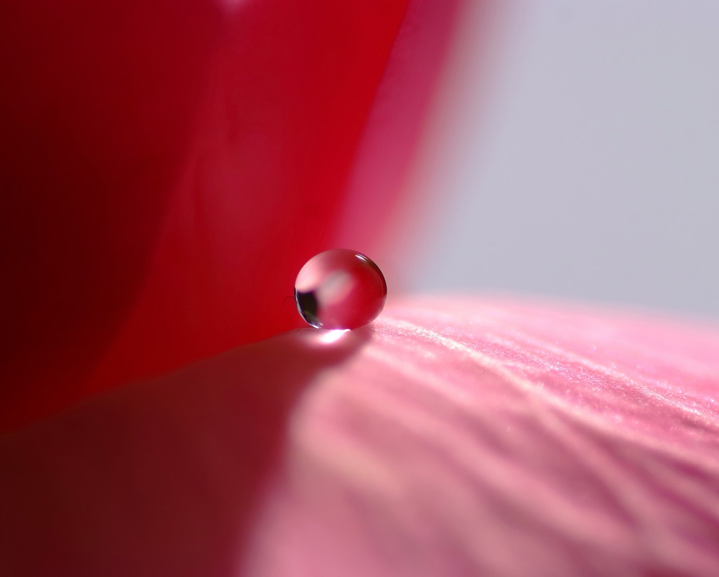 11月の惑星・（雫）Ⅰ