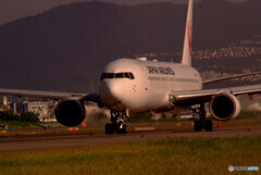 癒しの時間Ⅶ✈2020夏