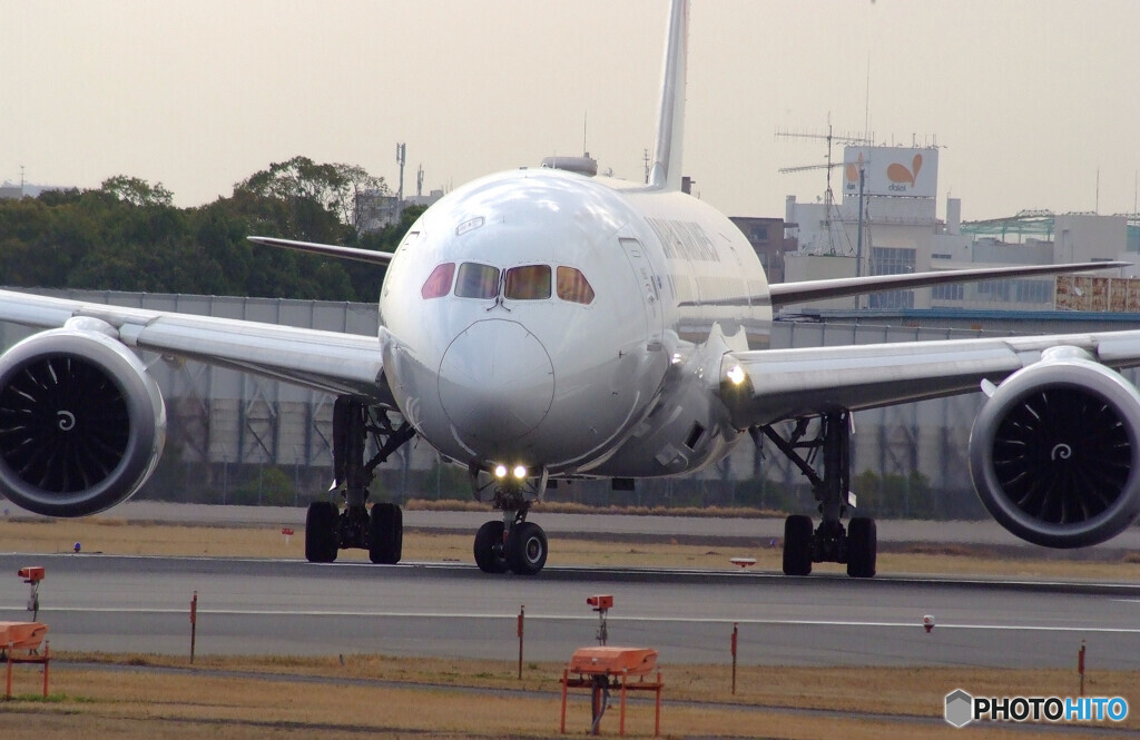 男の旅路✈JAL Boeing787-8
