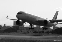 B＆Wの世界へⅢ✈JA13XJ