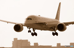 Morning ShowⅨ・787-9