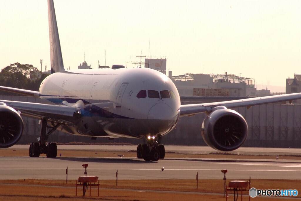 桜月の朝✈Boeing787-9