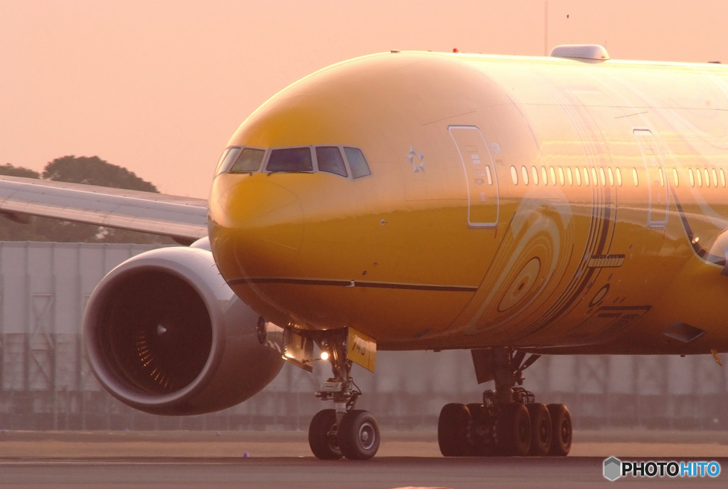 You're the Star・C-3PO