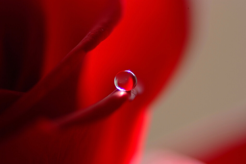 愛しき惑星★萌月2026