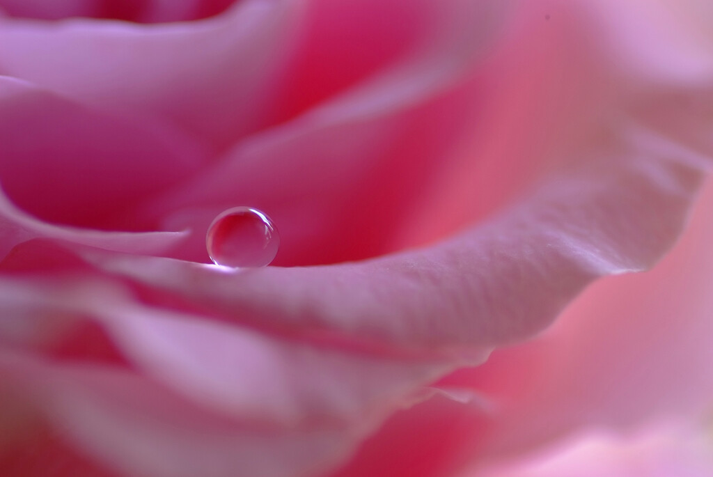 愛しき惑星❁雫