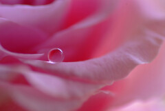 愛しき惑星❁雫