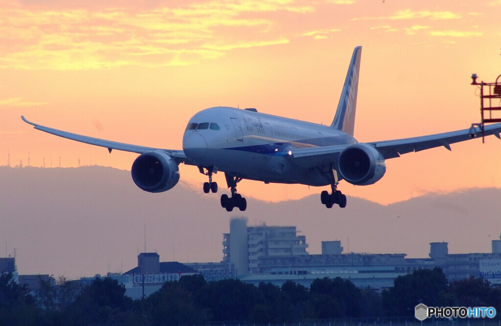 November MorningⅥ✈Boeing787-8