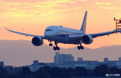 November MorningⅥ✈Boeing787-8