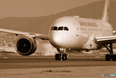 俺の朝✈Dreamliner