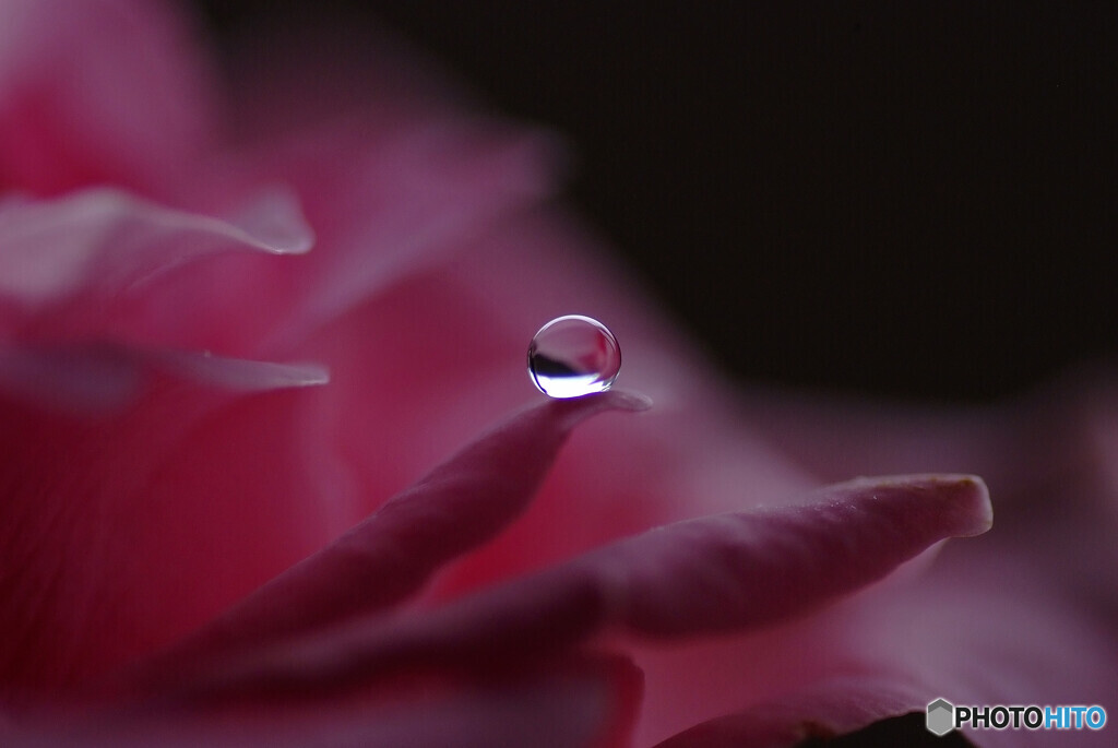 癒しの時✾長月の朝