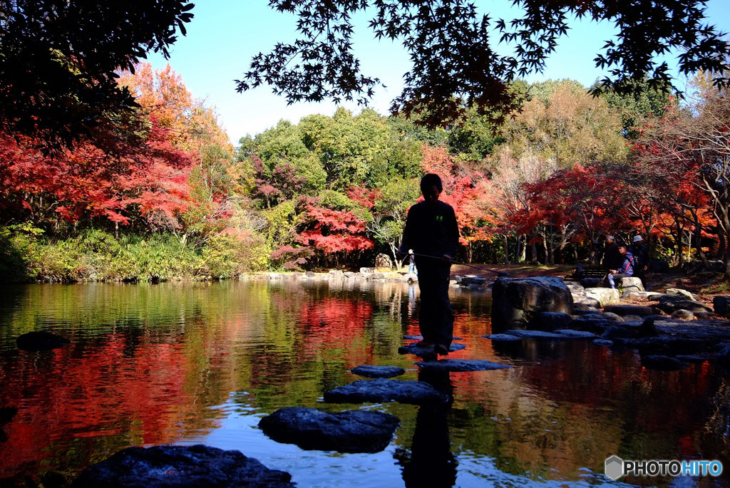 紅葉を駆ける少年