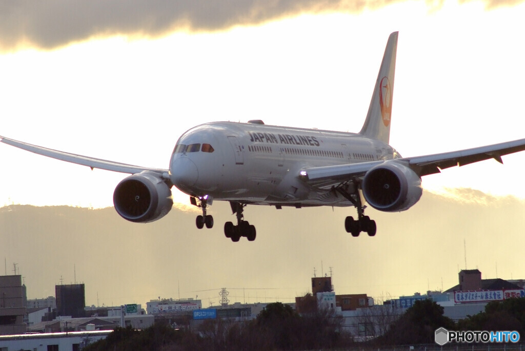 Airplane ParadiseⅨ✈JAL Boeing787-8