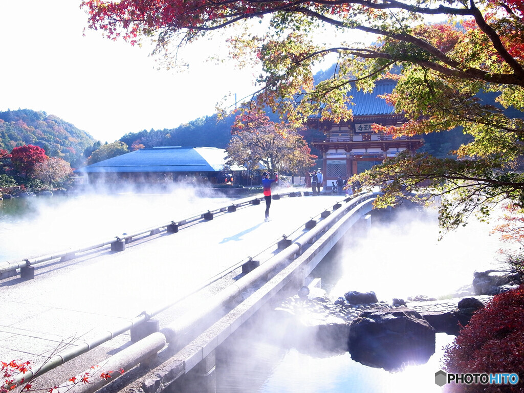 霜月の朝✿勝尾寺2022