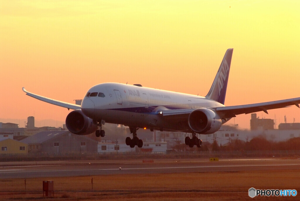 January traveler☆Boeing787-8