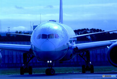 蒼の時✈ANA Dreamliner