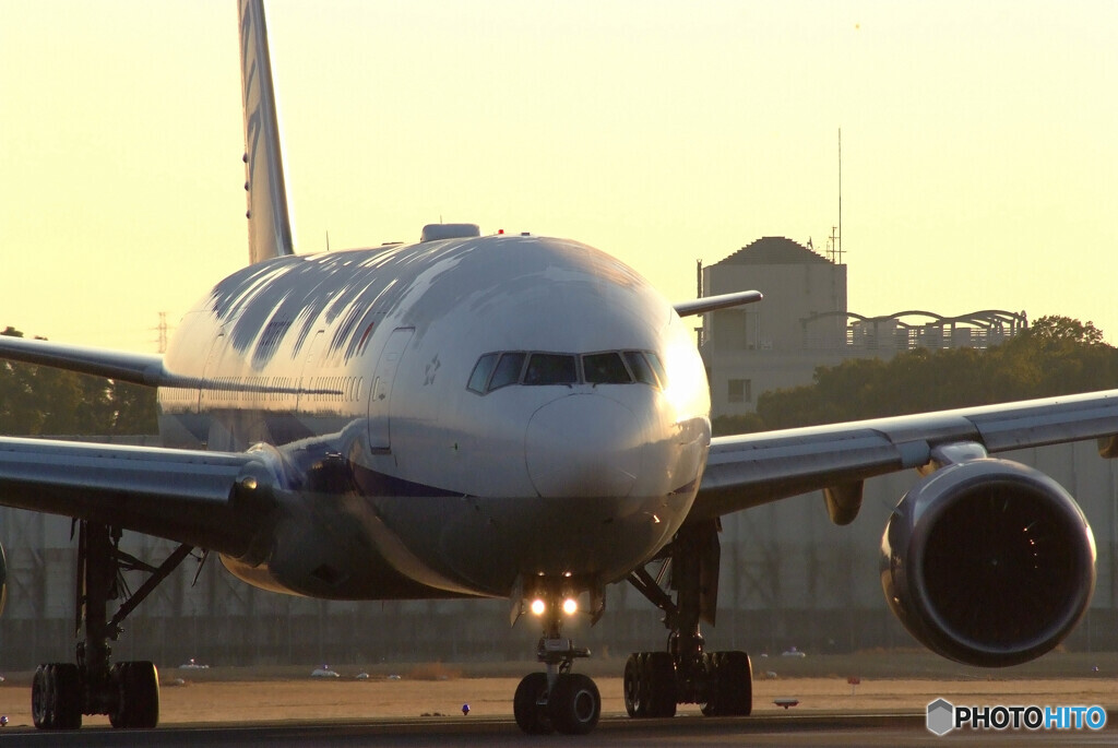 Nice Face☆Boeing 777-200